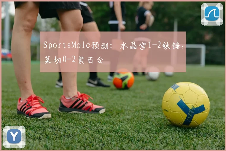 SportsMole预测：水晶宫1-2铁锤，莱切0-2紫百合