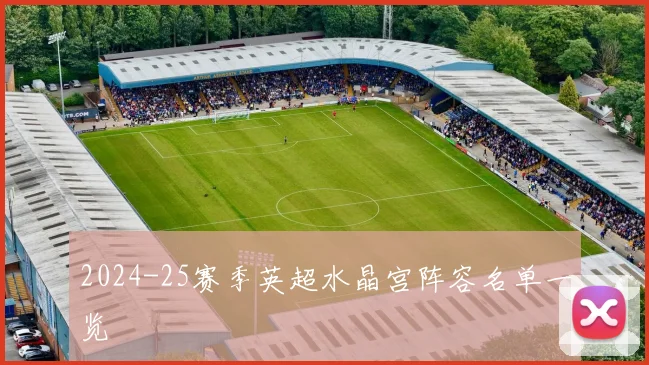 2024-25赛季英超水晶宫阵容名单一览