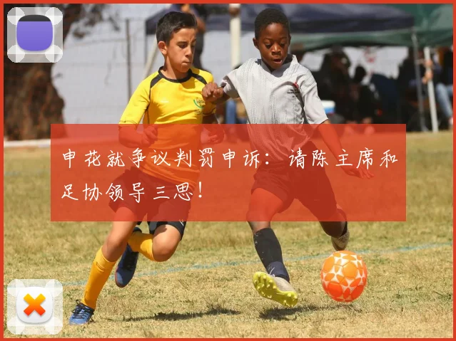 申花就争议判罚申诉：请陈主席和足协领导三思！